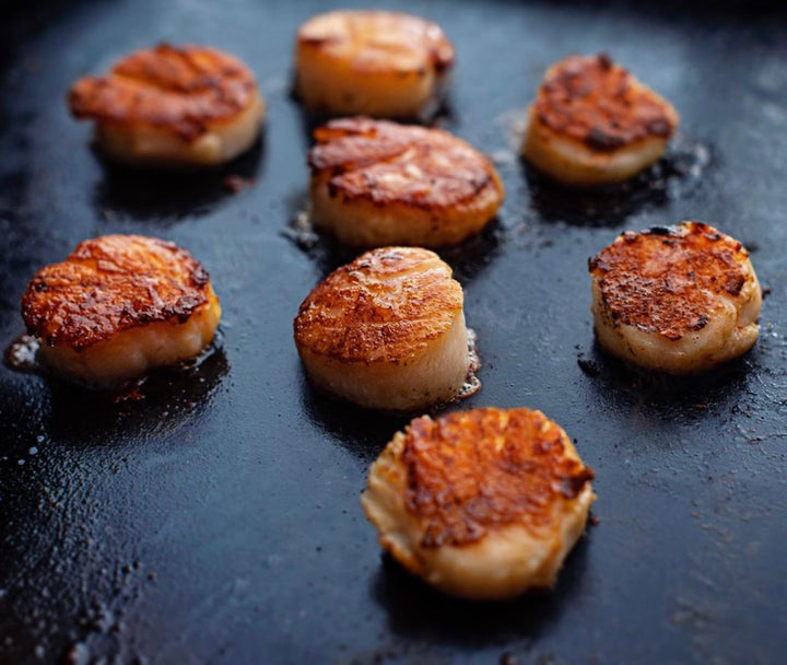 Golden seared U-10 scallops on a hot cast iron skillet.