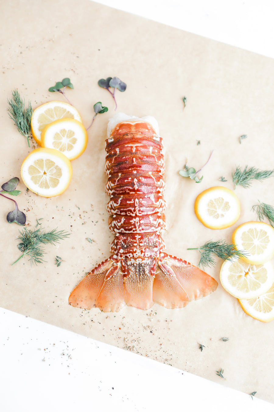 Fresh South African cold water lobster tail on parchment with lemon slices and herbs.