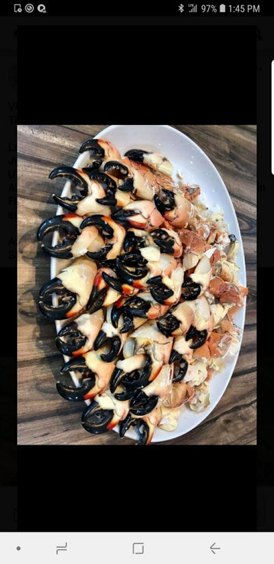 Fresh Florida Stone Crabs (Colossal Size) 5lbs