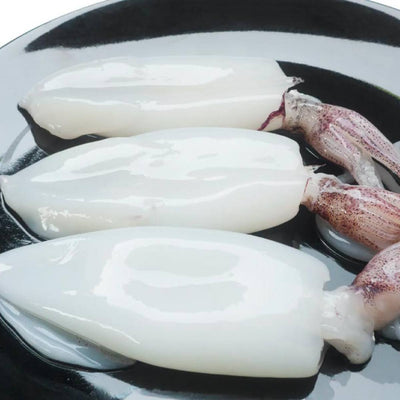 Rhode Island Cleaned Squid Tubes and Tentacles, Calamari, 2.5 lbs