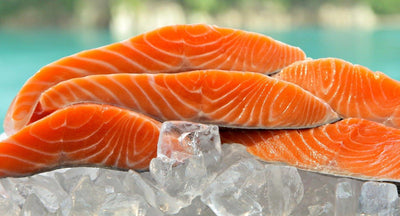 Ora King Salmon (2-8oz Filets)